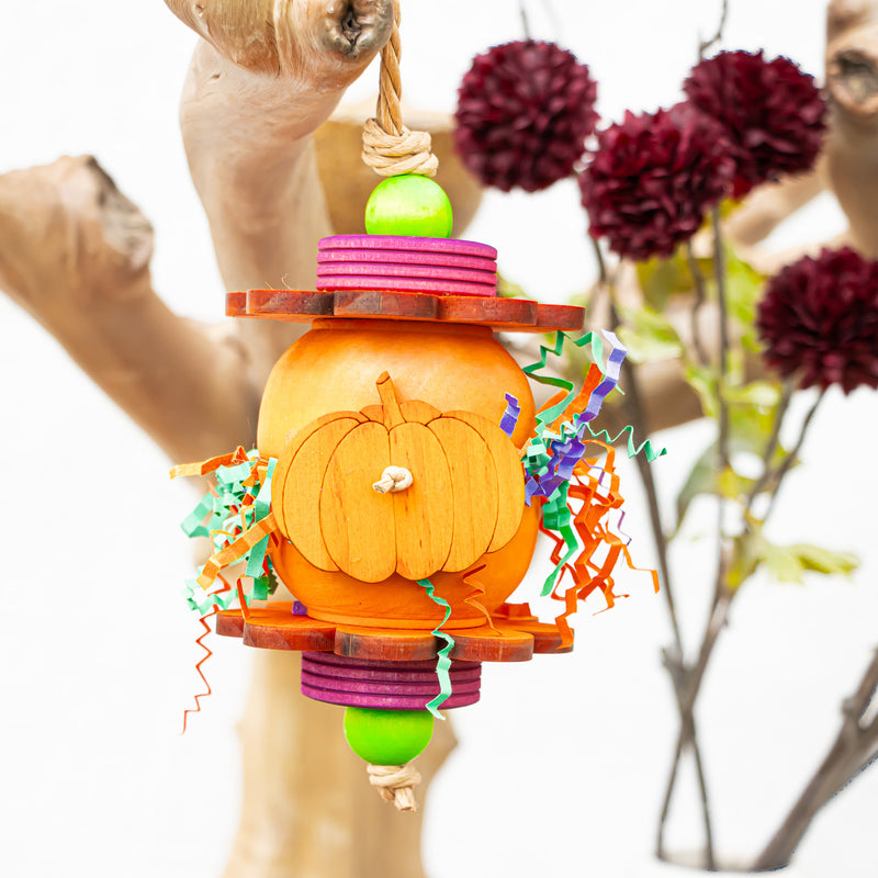 Pretty Little Pumpkins - Halloween Collection