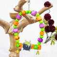 Load image into Gallery viewer, Under a Witchy Moon - Halloween Collection