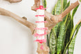 Load image into Gallery viewer, Tender Love - Shredding Toy