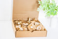 Load image into Gallery viewer, Natures Festivities - Natural Toy