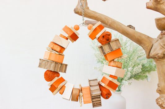 Pieces of Autumn - Autumn Collection