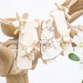 Load image into Gallery viewer, Lady Clover’s Charm - Bunny Bloom Collection
