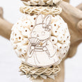 Load image into Gallery viewer, Honeybun - Bunny Bloom Collection

