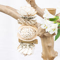 Load image into Gallery viewer, Blossom Breeze - Bunny Bloom Collection
