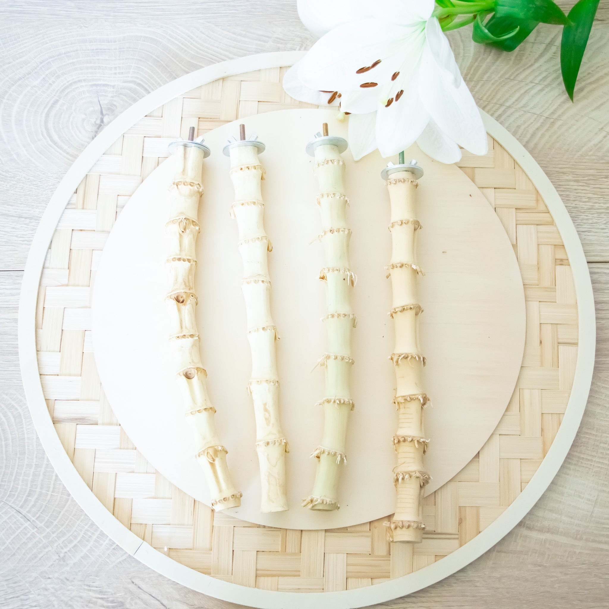 Bamboo Wood Perch - Perch