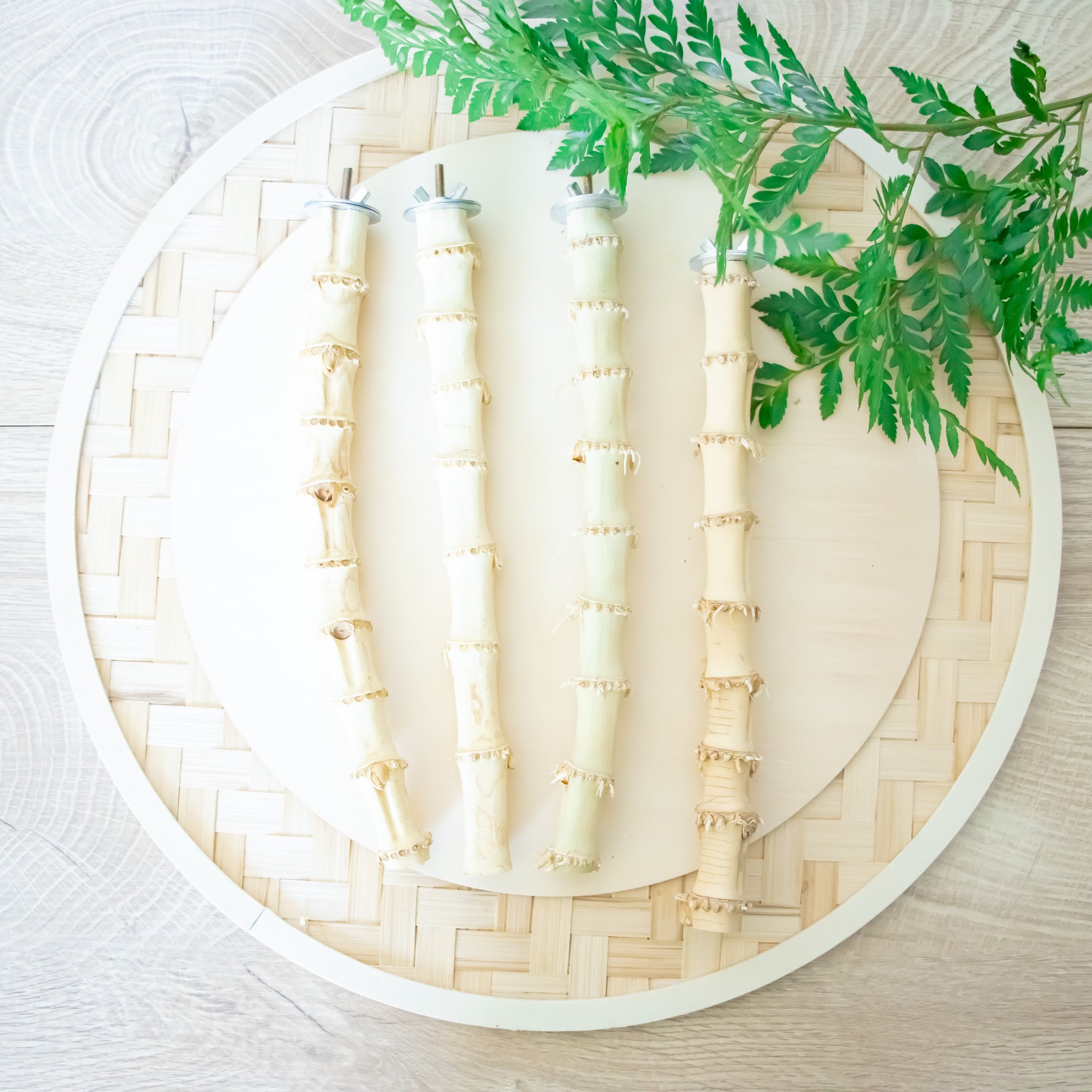 Bamboo Wood Perch - Perch