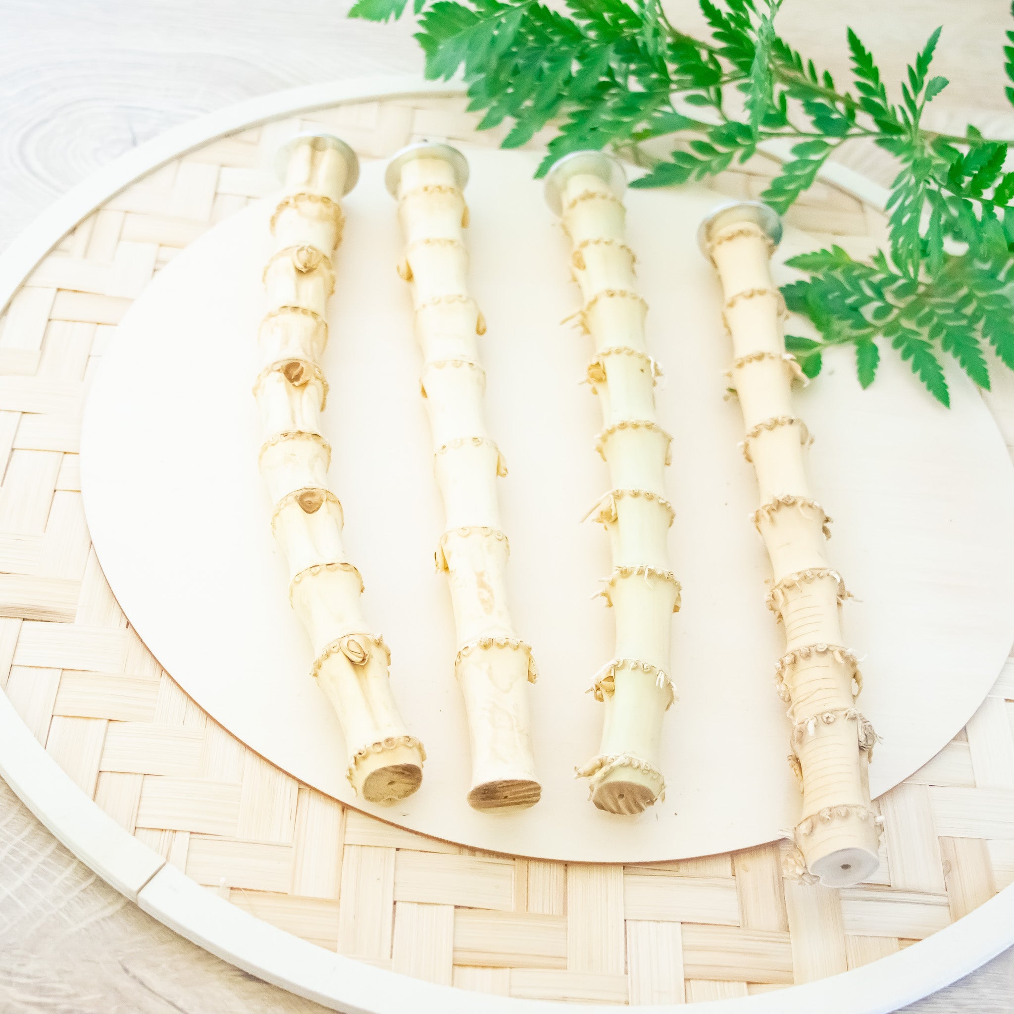 Bamboo Wood Perch - Perch