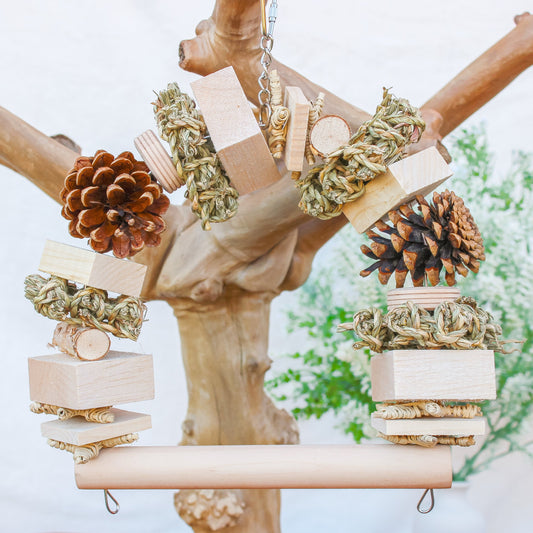 Winter Woodland - Swing