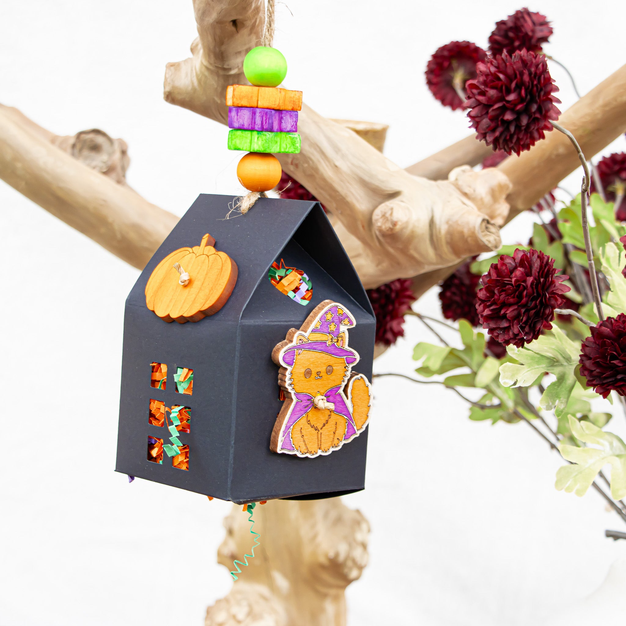 Midnight Whiskers- Halloween Collection