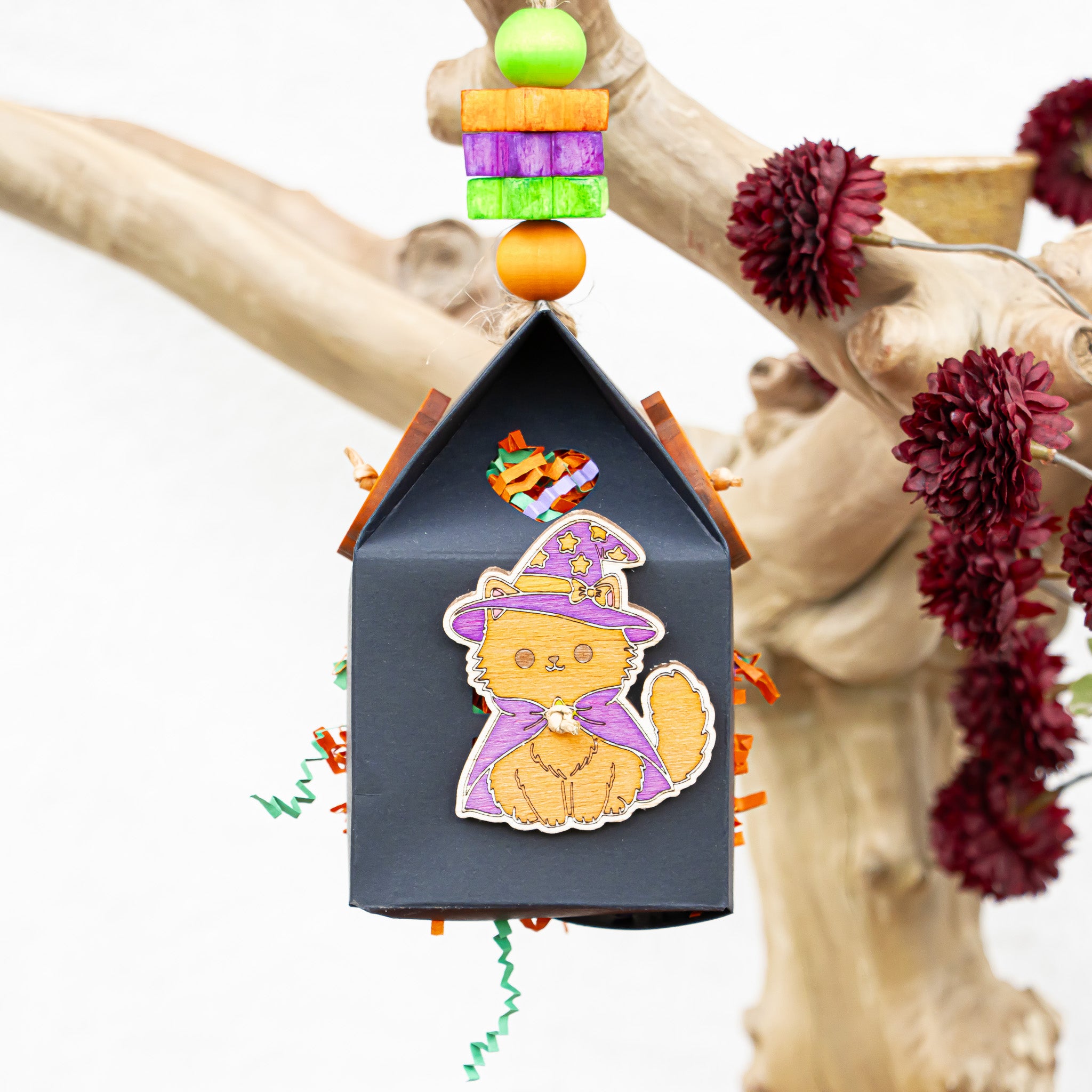 Midnight Whiskers- Halloween Collection
