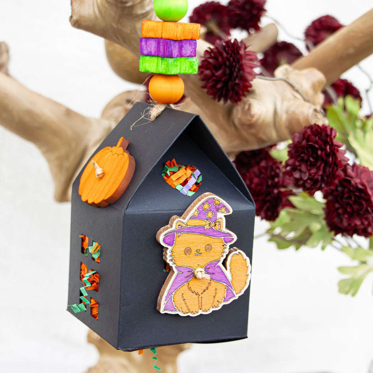 Midnight Whiskers- Halloween Collection