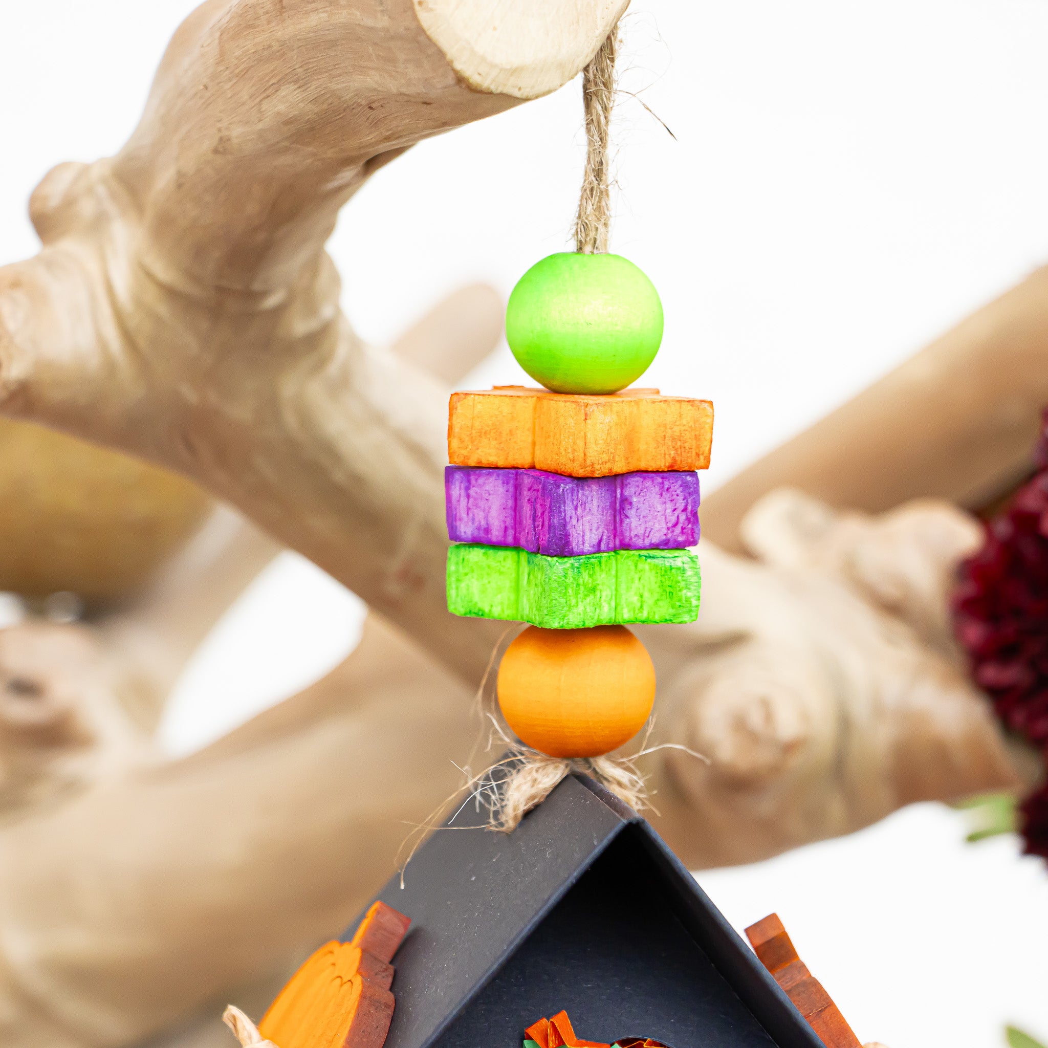 Midnight Whiskers- Halloween Collection