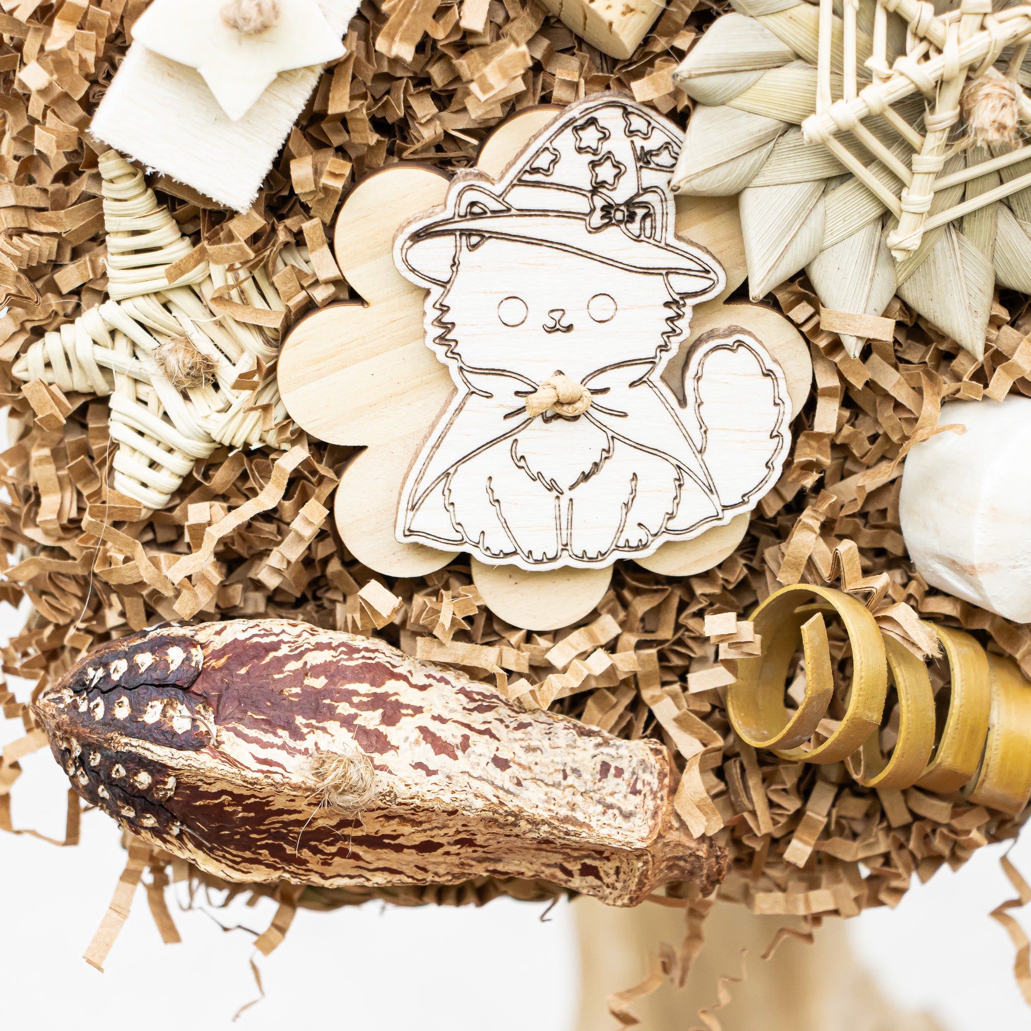 The Haunted Woodland - Halloween Collection