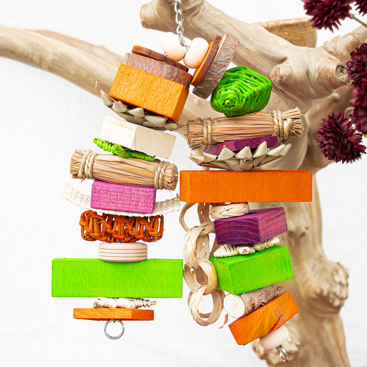 A Splash of Spooky - Halloween Collection