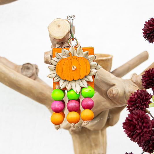 Stitches & Spooks - Halloween Collection