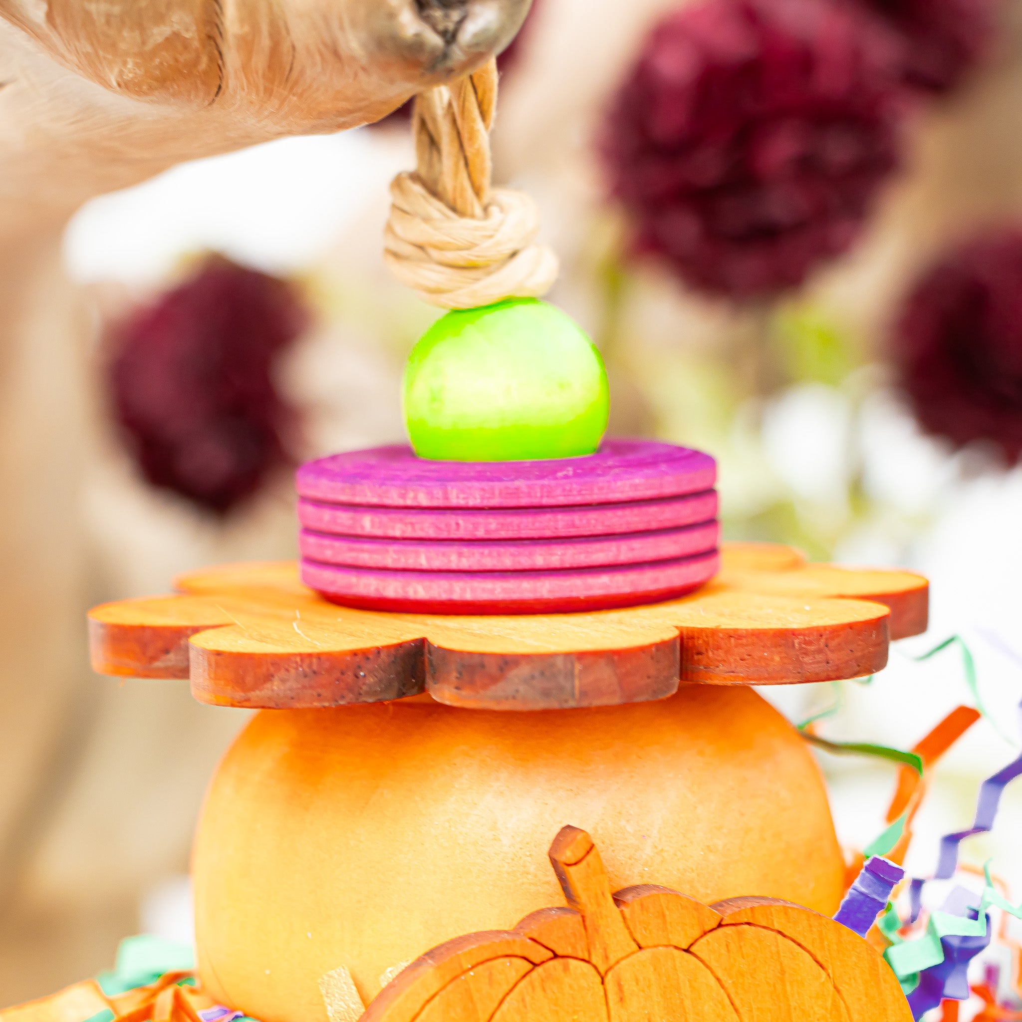 Pretty Little Pumpkins - Halloween Collection