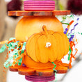 Load image into Gallery viewer, Pretty Little Pumpkins - Halloween Collection
