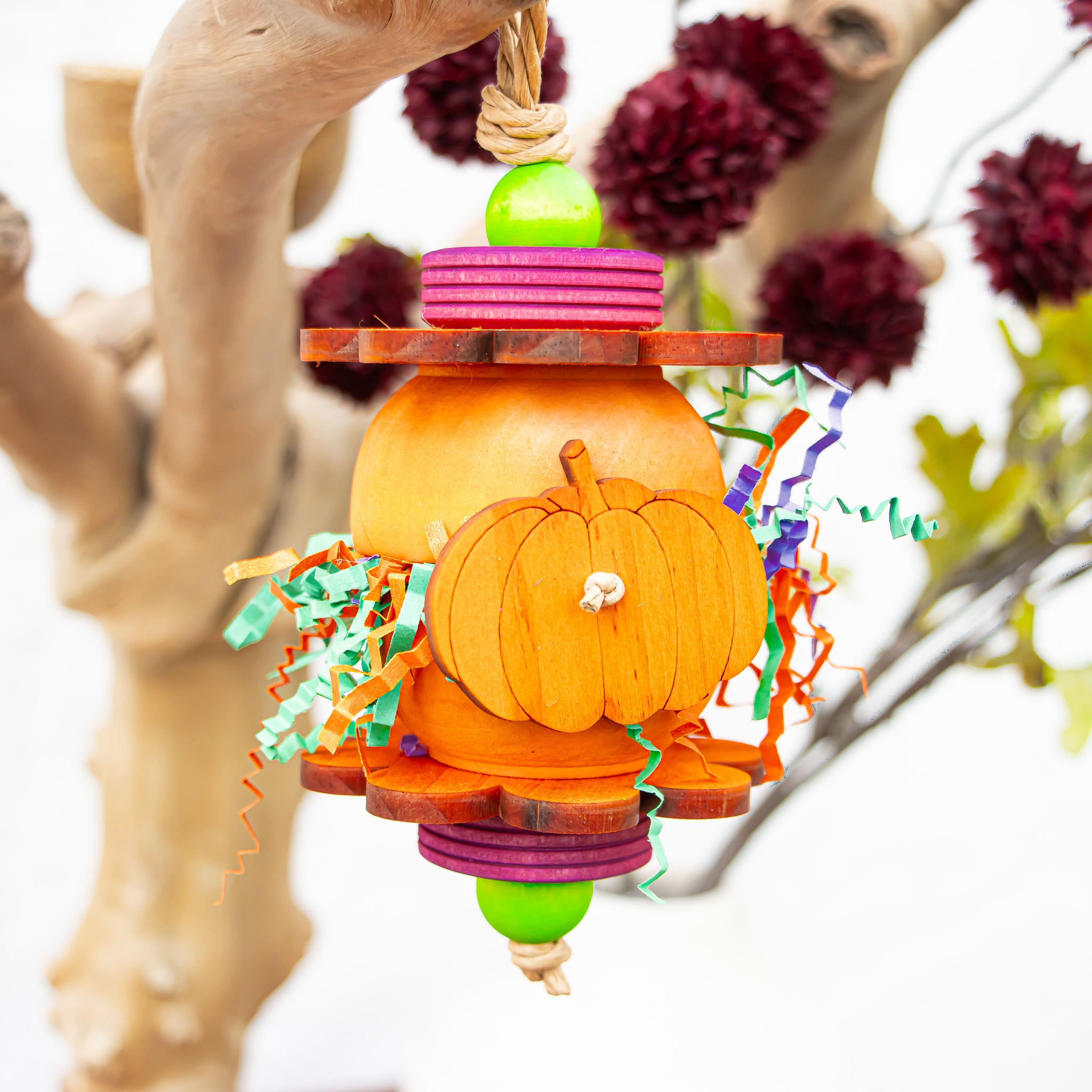 Pretty Little Pumpkins - Halloween Collection