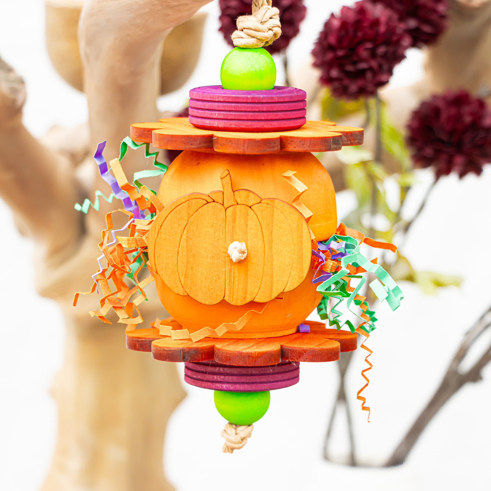 Pretty Little Pumpkins - Halloween Collection