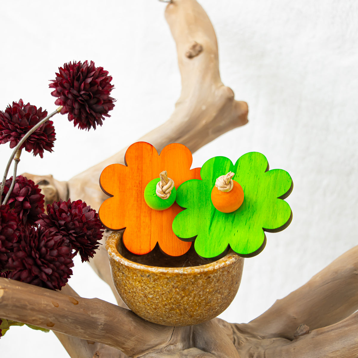 A Splash of Spooky - Halloween Collection
