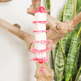 Load image into Gallery viewer, Tender Love - Shredding Toy
