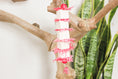 Load image into Gallery viewer, Tender Love - Shredding Toy
