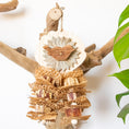 Load image into Gallery viewer, Mahogany Essence - Natural Toy

