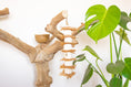 Load image into Gallery viewer, Nature's Nibbler - Natural Toy
