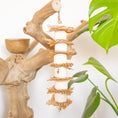 Load image into Gallery viewer, Nature's Nibbler - Natural Toy
