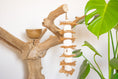 Load image into Gallery viewer, Nature's Nibbler - Natural Toy
