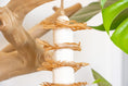 Load image into Gallery viewer, Nature's Nibbler - Natural Toy
