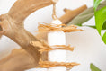 Load image into Gallery viewer, Nature's Nibbler - Natural Toy
