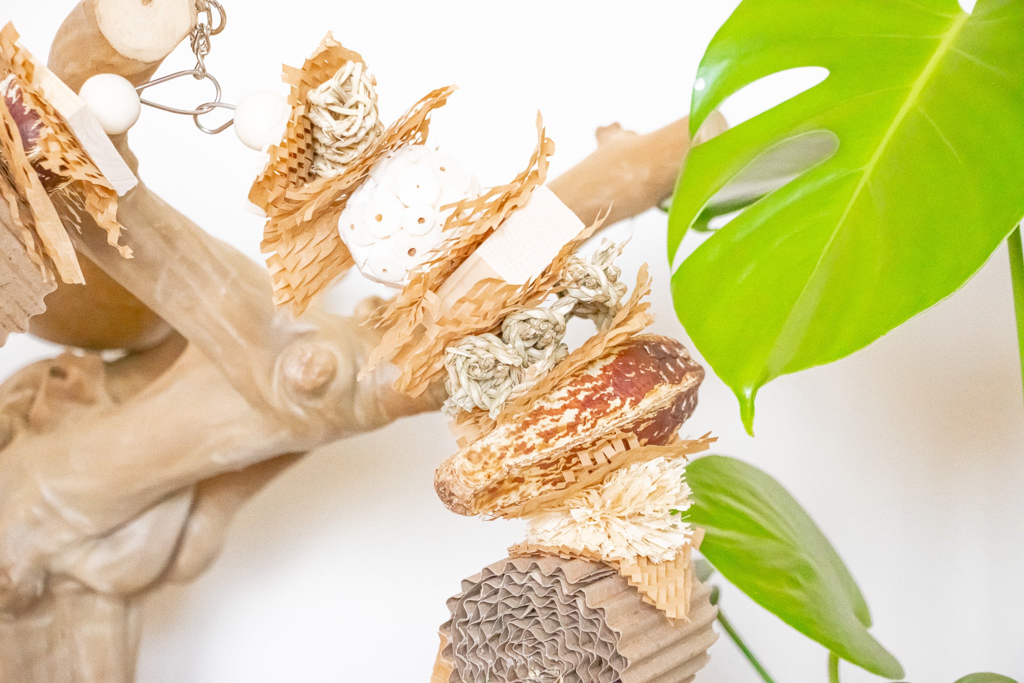 Nature's Wonderland - Natural Toy