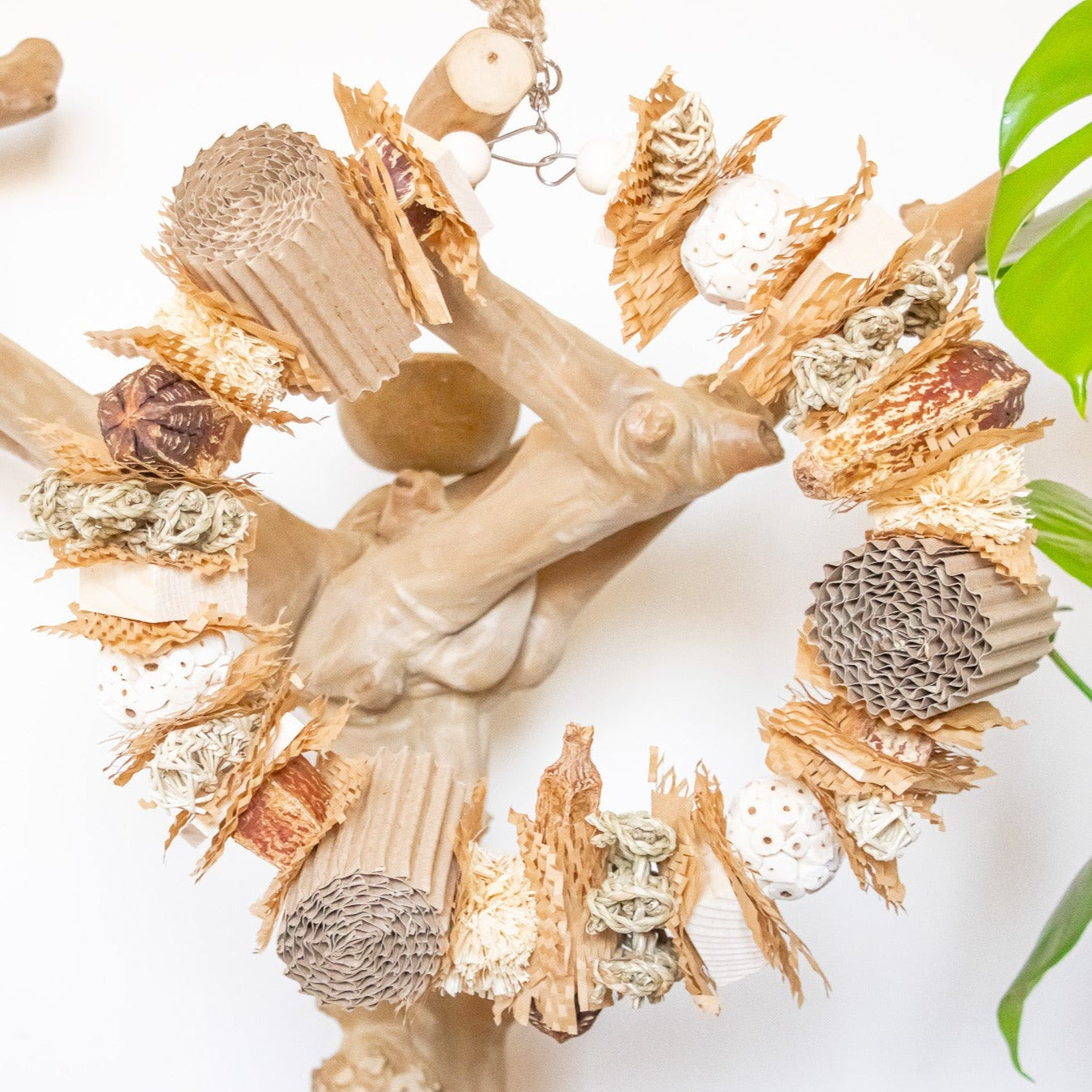 Nature's Wonderland - Natural Toy