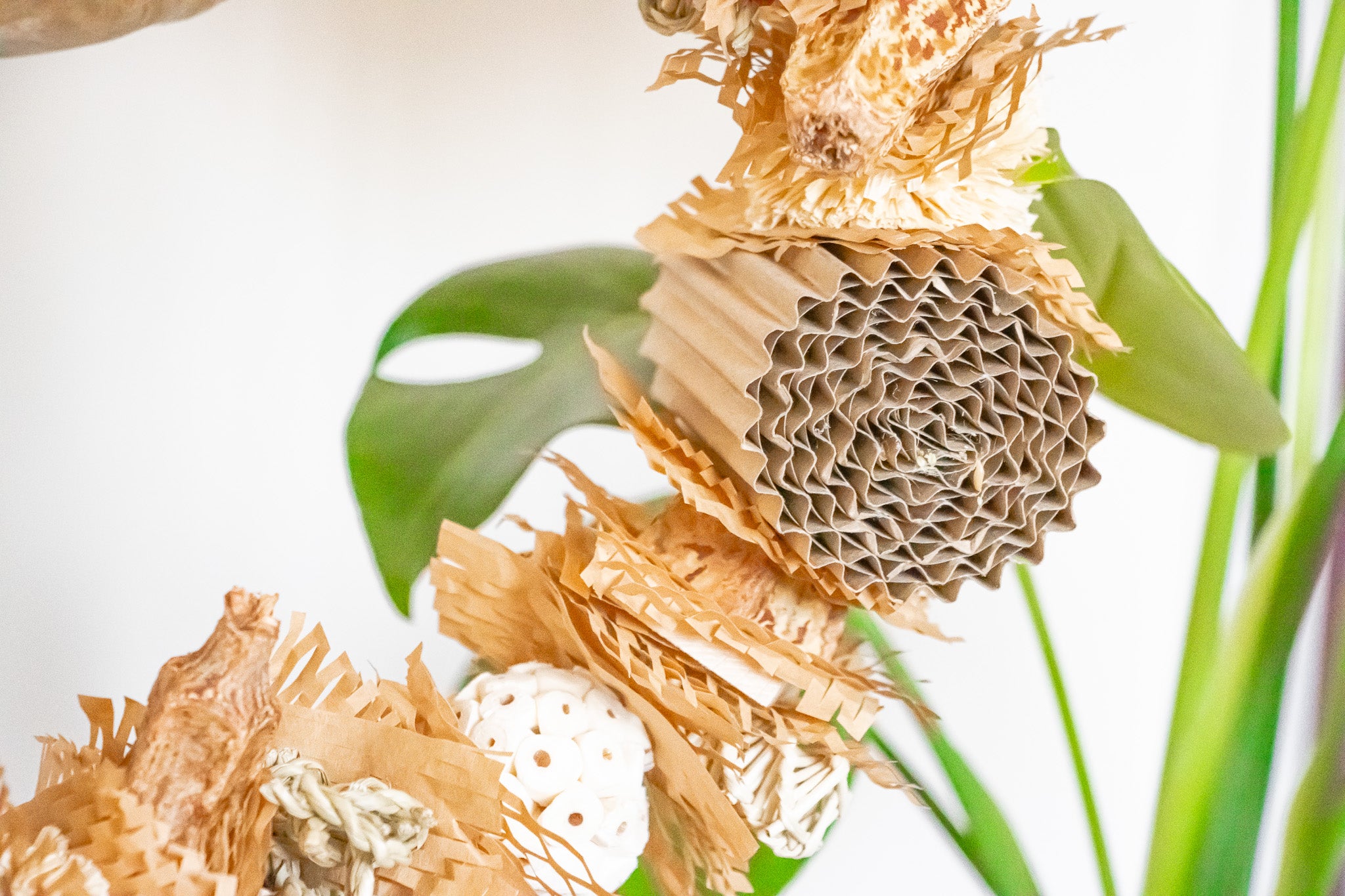 Nature's Wonderland - Natural Toy