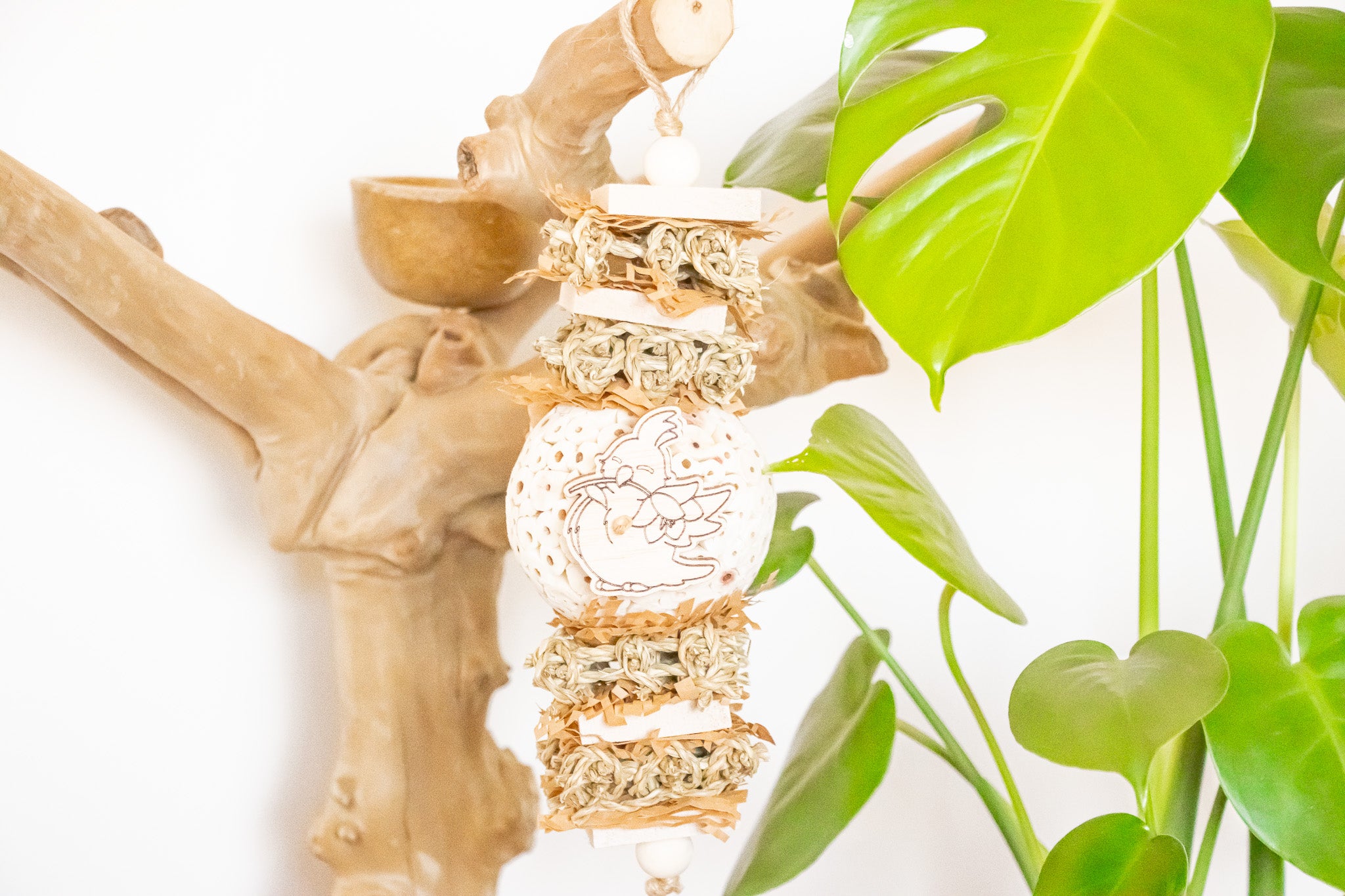 Sola Snack - Natural Toy