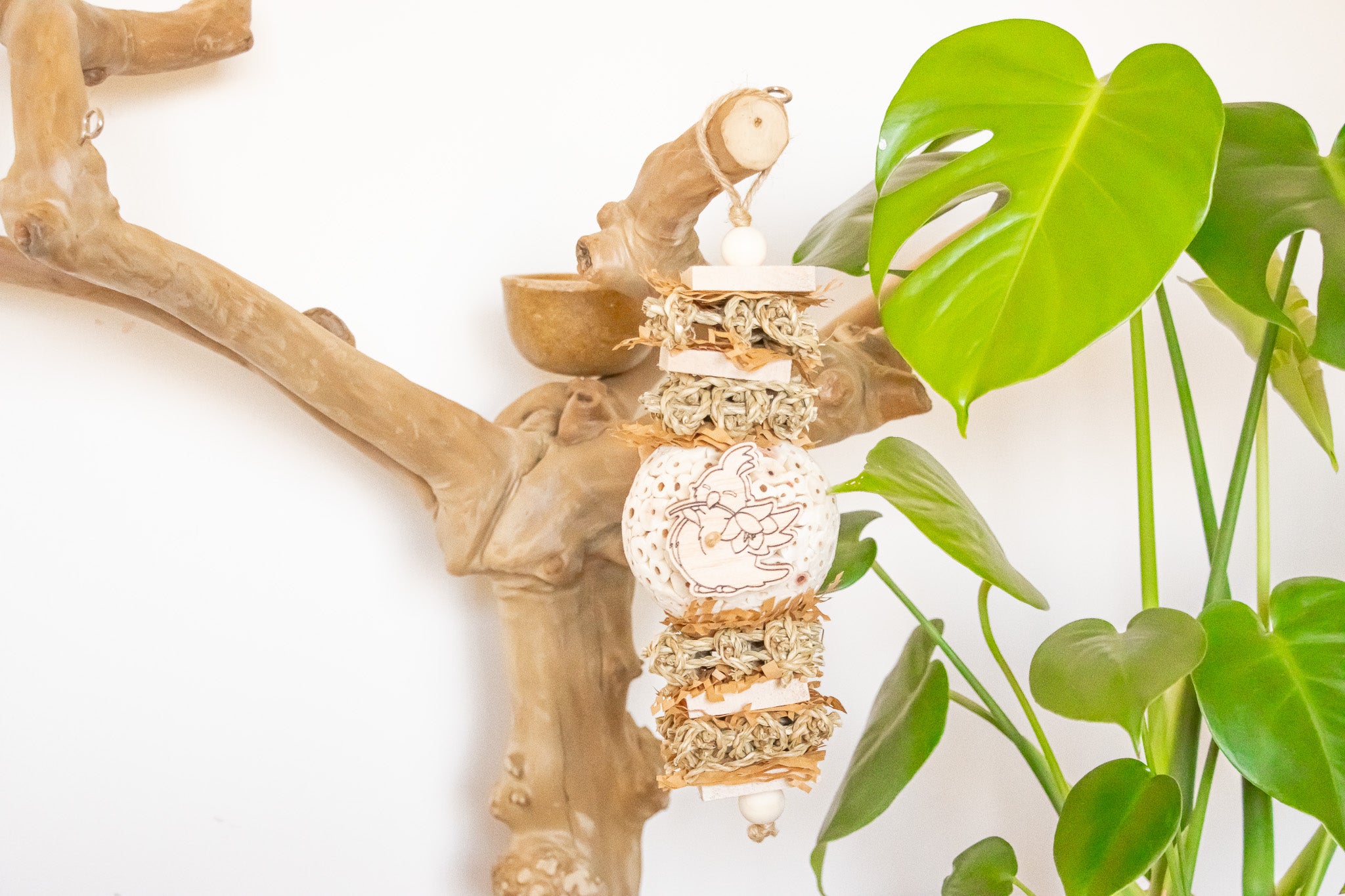 Sola Snack - Natural Toy