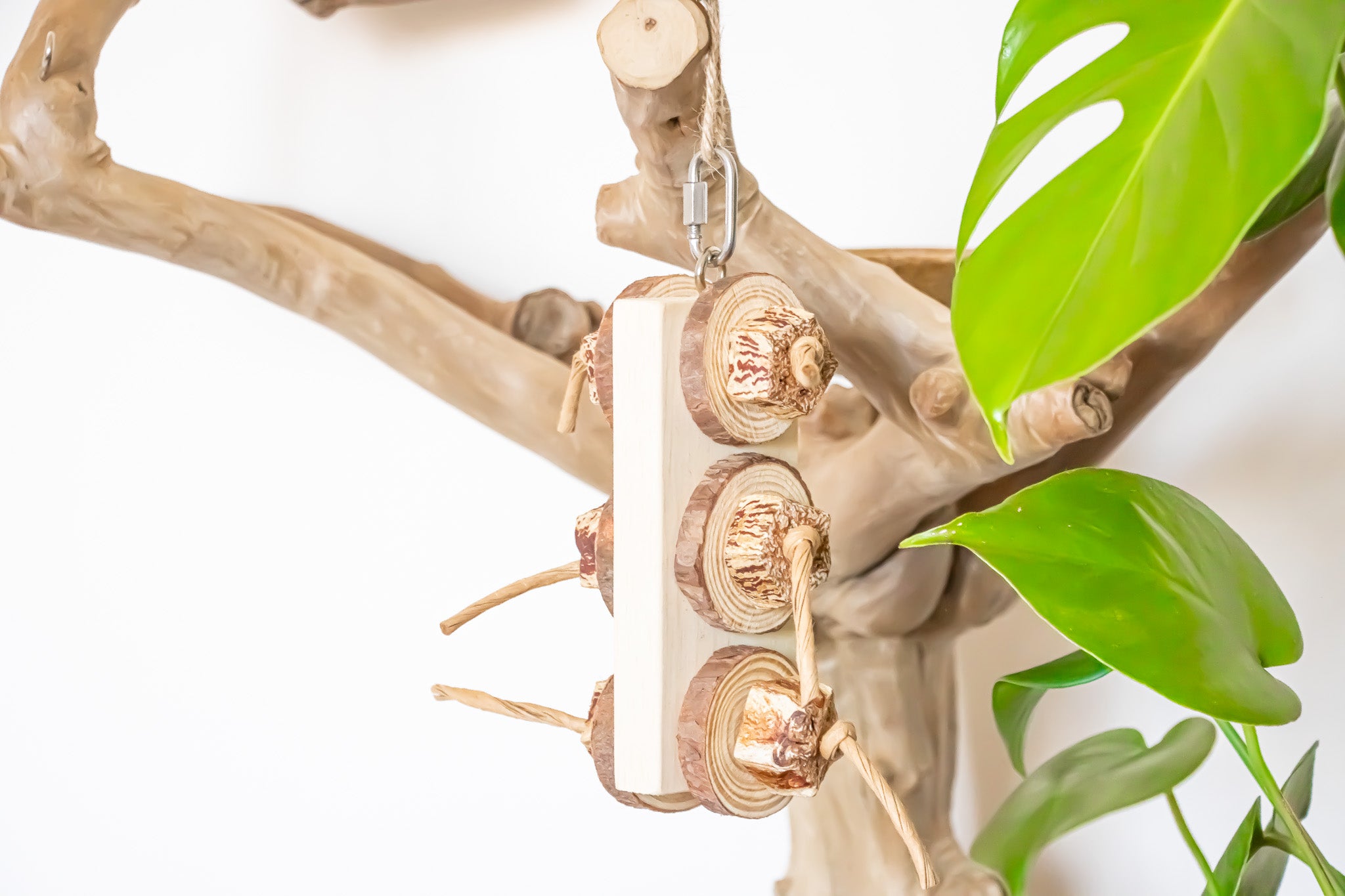 Mahogany Paradise - Natural Toy