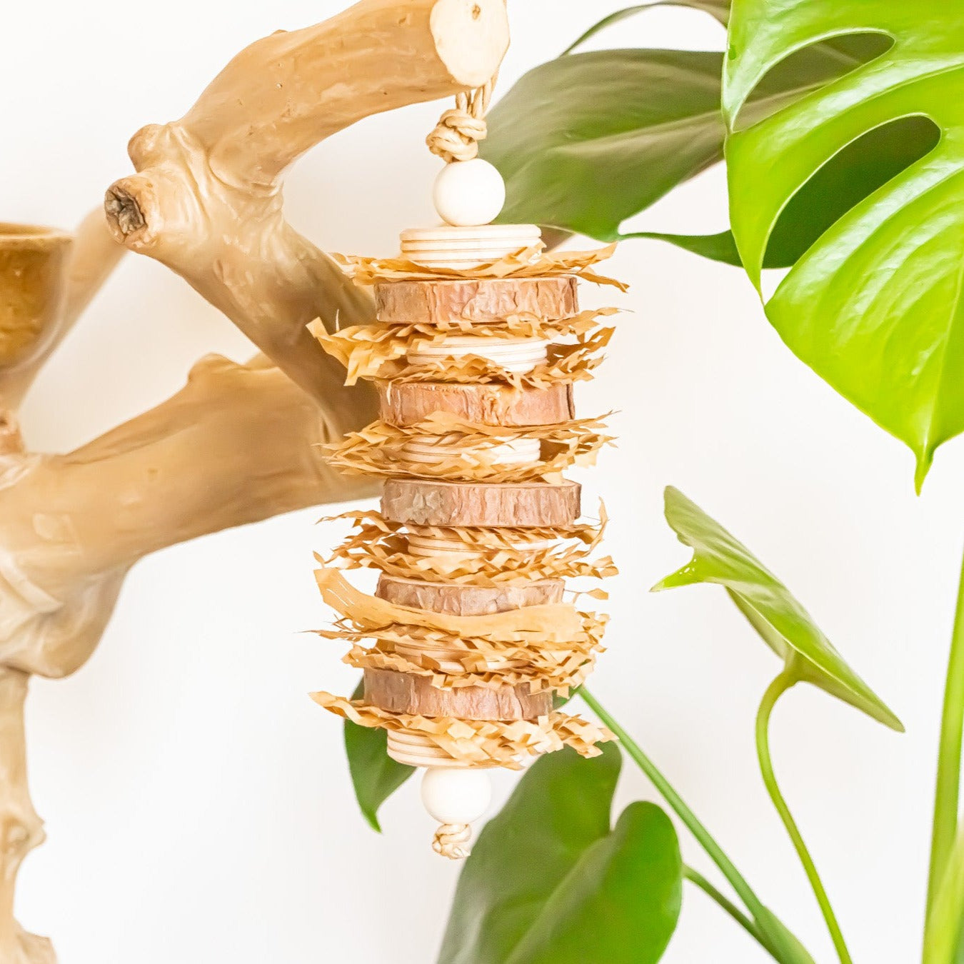 Un Natural - Natural Toy