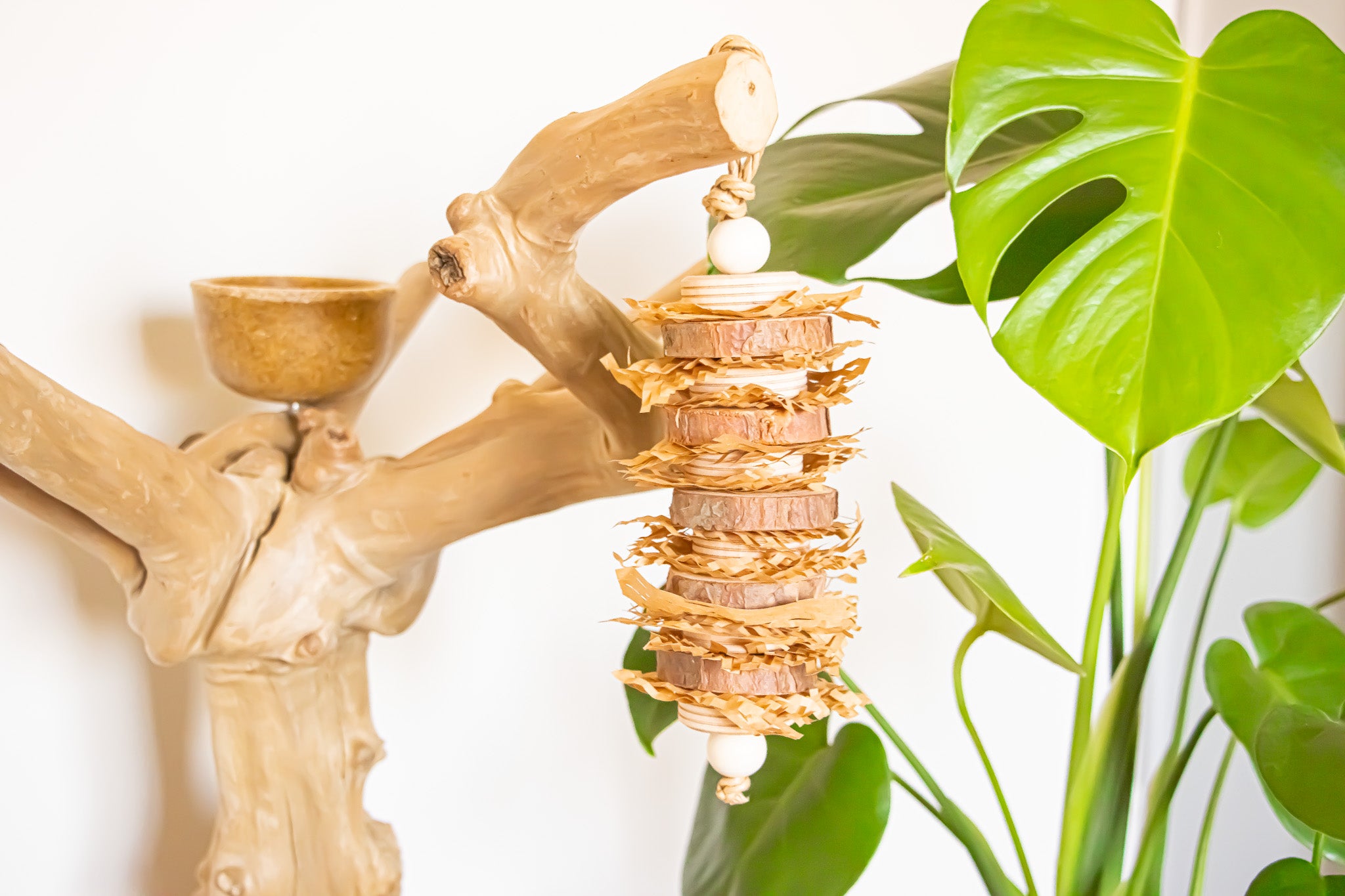 Un Natural - Natural Toy