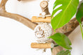 Load image into Gallery viewer, Terracotta - Natural Toy
