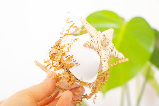 Foraging Fun - Foot Toy