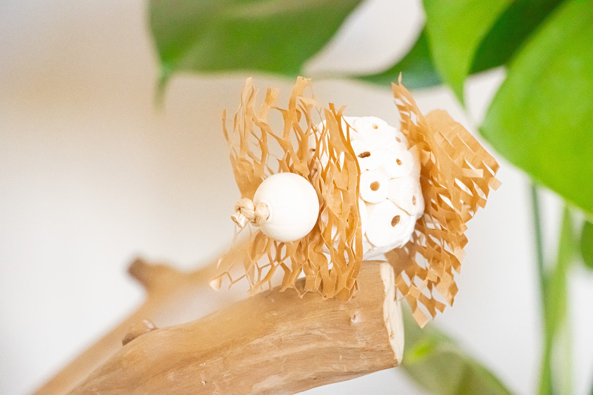 Pure Sola - Foot Toy