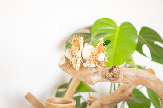 Forest Breeze - Foot Toy