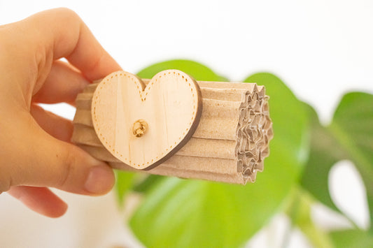 Earth's Love - Foot Toy