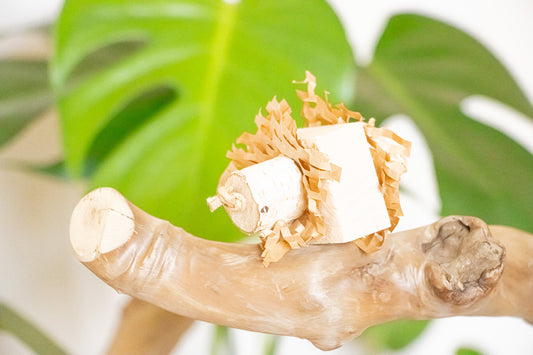 Whimsical Breeze - Foot Toy