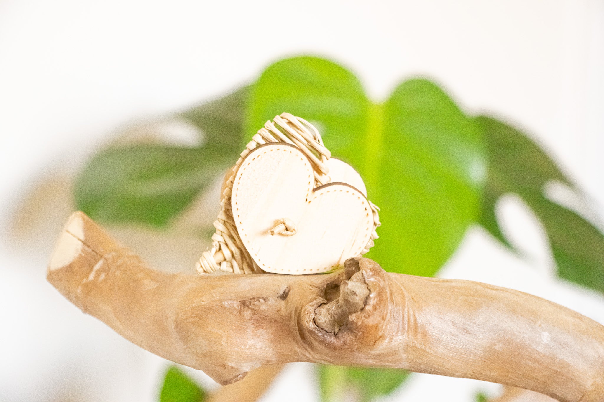 Avian Love - Foot Toy