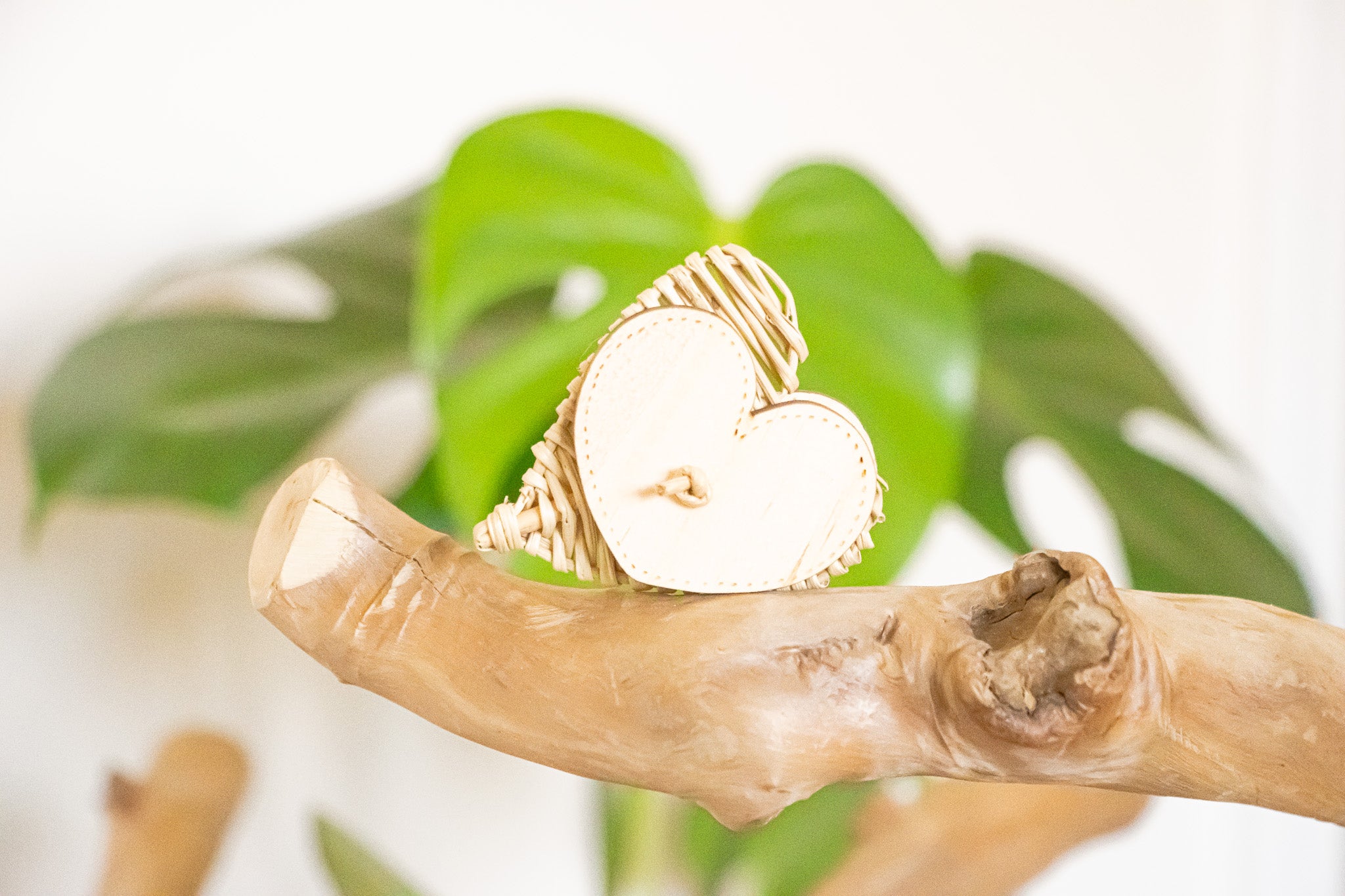 Avian Love - Foot Toy