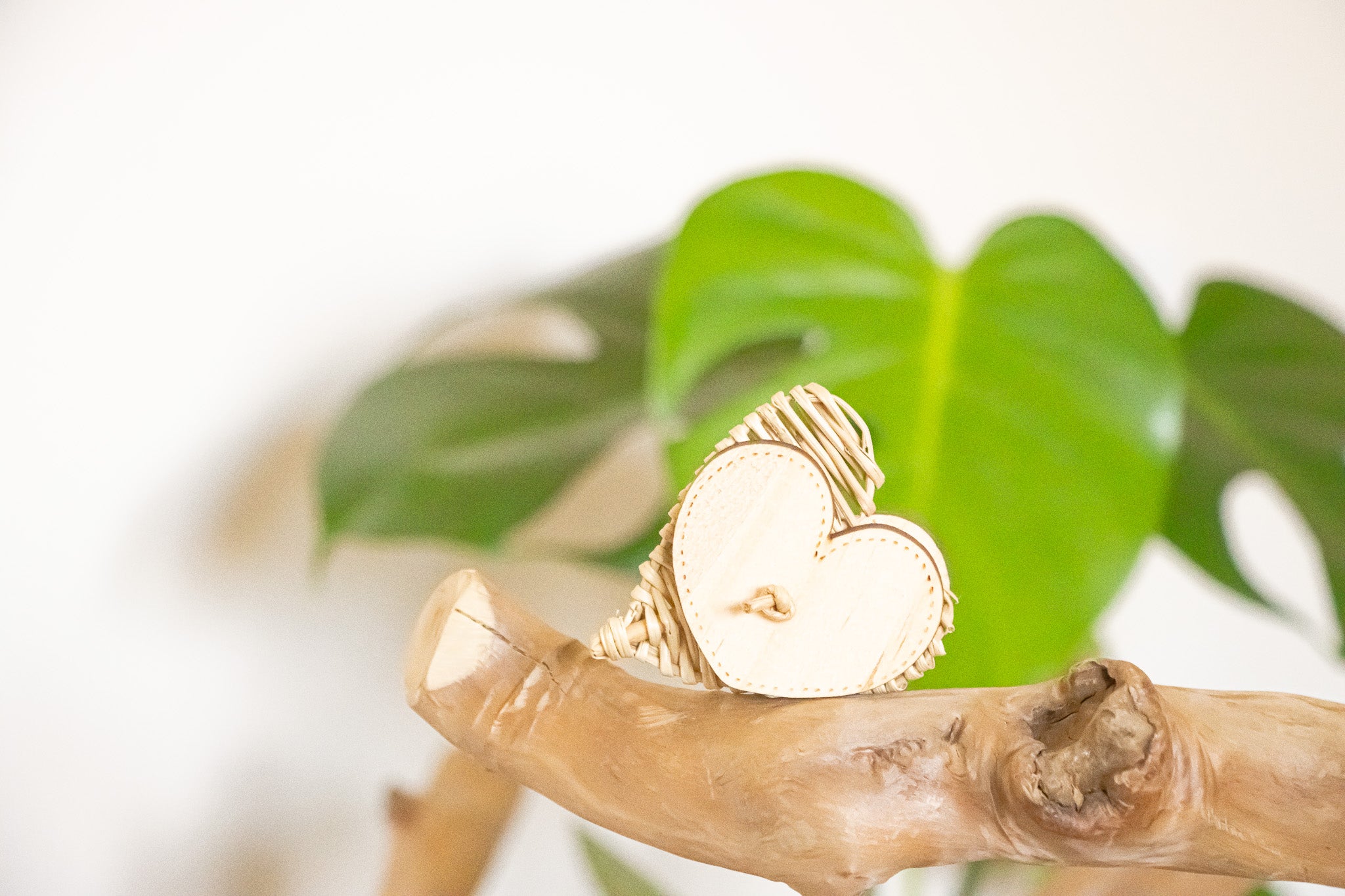 Avian Love - Foot Toy