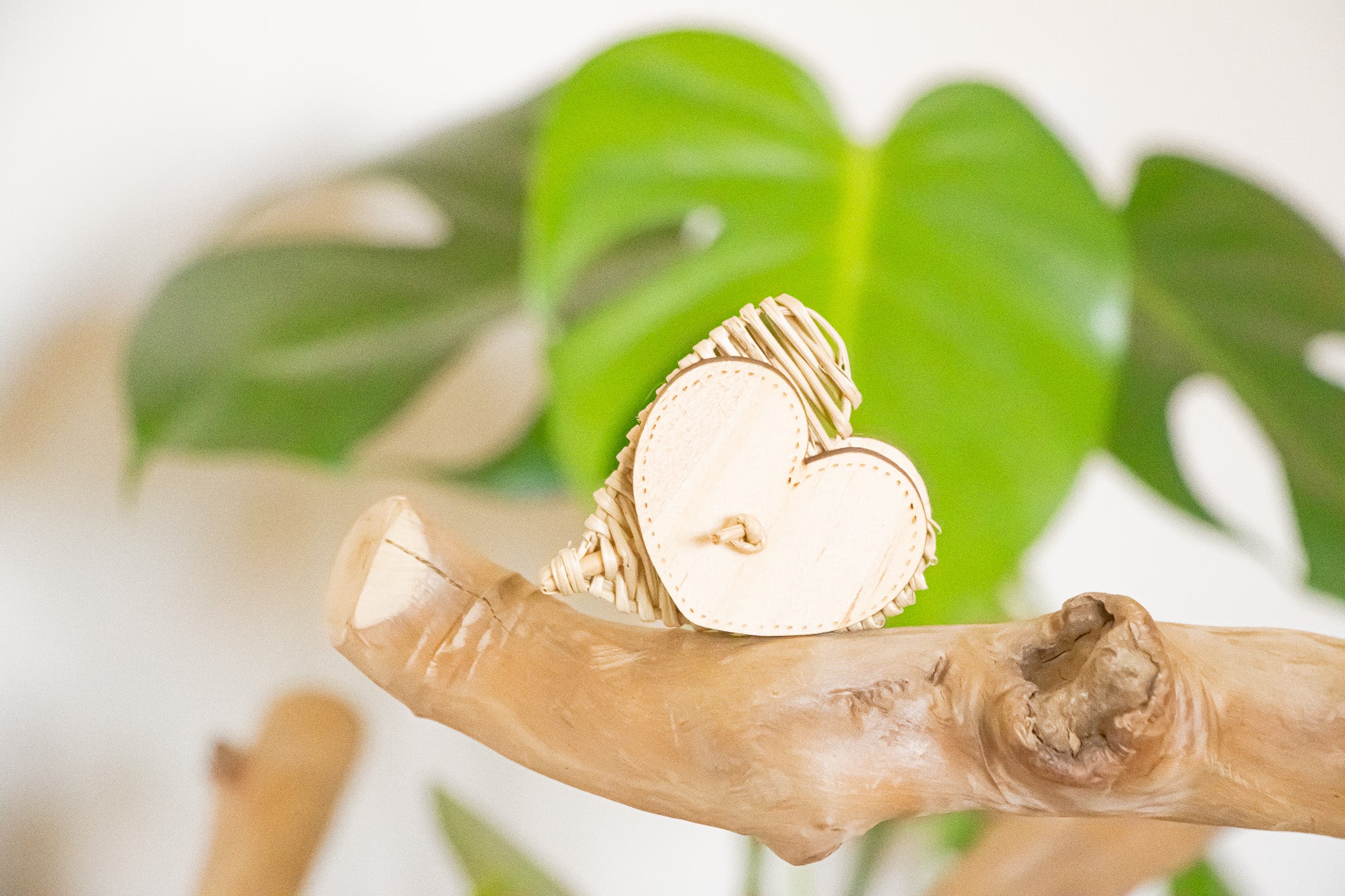 Avian Love - Foot Toy